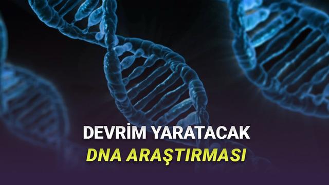DNA’nın Ne Kadar Bir Alana Sıkıştırıldığı Birinci Sefer Net Bir Biçimde Görüntülendi [Video]