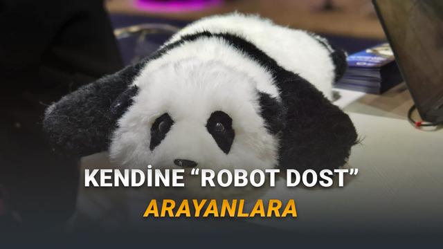 CES 2026: Yaşlılara Ruhsal Dayanak Sağlayabilen Panda Robot “AnAn” Tanıtıldı